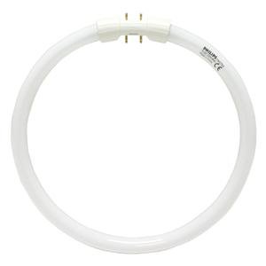 Philips 166009 - TL5C Light Bulb
