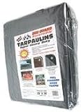 Dry Top 220308 20-by-30-Foot Super Heavy-Duty 10-Millimeter UV Treated Tarp, Silver/Brown Reversible