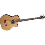 Acoustic Bass Guitars