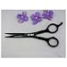 Barber Shears 1 ea