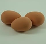 1x joke rubber egg