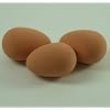 1x joke rubber egg