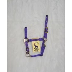 Nylon Chin Halter For Ponies - Purple - Pony
