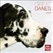 dogs21  - Great Danes 2010 Wall Calendar