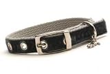 Designer Dog Collar ~ Luigi's Velvet ~ by Dixie Digs