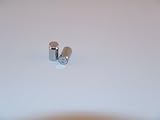 Sickshooter .45 Caliber Shell Valve Stem Caps (SuperChrome)