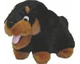 Junior Rottweiler