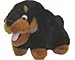   - Junior Rottweiler