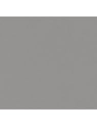 Vintage Leonardo with Belt, Weapons & Weapons Rack (1988) - Action Figure - Playmates - TMNT - Teenage Mutant Ninja Turtles Collectible Figure - Loose Out of Package & Print (OOP)