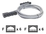 45FT CAT5E Gray 4AWG Pvc Cable with 6 RJ45 Jacks