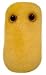 Giant Microbes - Cough (Bordetella pertussis) Educational Plush Toy