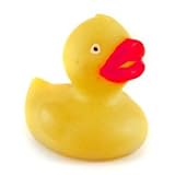 2 1/4" Value Priced Rubber Duck