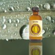 Our Version of Musk Scented Oil - Bonus Size 120 ml by Premium Home Fragrance Oil