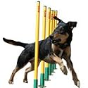 Clix Agility Dog Training Weave Poles Dog Equipment Pet