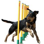 Company Of Animals Clix Agility Weave Poles
