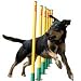 Clix Dog Agility Slalom Weave Poles