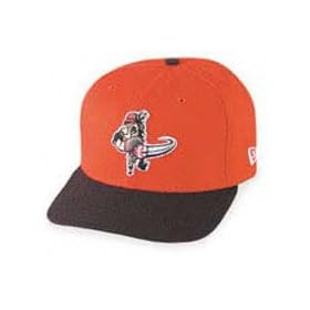Billings Mustangs Home Cap by New Era