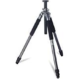 Giottos MT-9261, 3 Section Aluminum Series, Universal Tripod Legs, Supports up to 17.6 lbs., Maximum Height 62.8, Metallic Color.