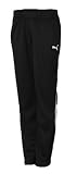 PUMA Damen Teamsport Trainingshose PWR-C 1.10 Wms Tr. Pants