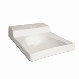 Wheelchair Wall Mounted Bathroom 8 Centerset