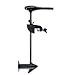 Minn Kota Endura C2 50 12V 50lb 42