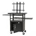 Balt, Inc. Products - LCD Cart, Height Adjustable, 24