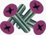 STANDARD PHILLIPS BOLT 1 inch PURPLE HEAD