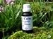 Calm - a herbal calming remedy for cats and dogs