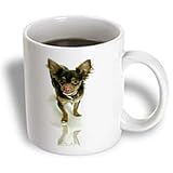 Dogs Chihuahua - Long Hair Chihuahua - Mugs