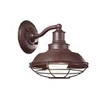 Circa 1910 Collection 8 1/4 Wide Outdoor Wall Light