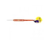 Unicorn Barney Brass Dart Raymond Van Barneveld