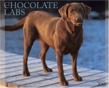Just Chocolate Labs 2008 Calendar (Just)
