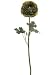 Faux 29 Hybrid Ranunculus Spray Green (Pack of 12)