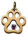 14k Puppy Paws Pendant with a February Amethyst Gemstone