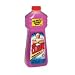 Health & Personal Care : Mr. Clean Antibacterial Multi-Purpose Cleaner, Spring Garden - 28 Oz, 12 Ea