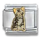 Clearly Charming Dixie Kitty Cat Animal Kitty Kitten Pet Theme Italian Charm Bracelet Link