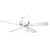 Hunter 21539 The Vista 52-Inch Five-White/Light Oak-Blades-Ceiling Fan, White