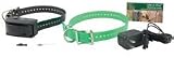 SportDog SDR-FS Extra Collar / Receiver for the SD-400 or SD-800 Unit