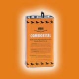 Combigestal-Sirup (HORSE fitform) 5 Liter