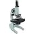 Celestron 44104 500x Power Advanced Biological Microscope