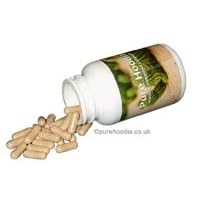Pure Hoodia - 90 capsules (one month supply)