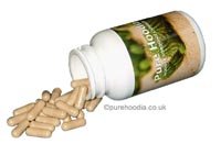 Pure Hoodia - 90 capsules (one month supply)