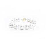 14k Yellow Gold 14mm White Masami Shell Pearl Bracelet with Ball Clasp, 8
