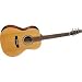 Seagull Coastline Cedar Folk Acoustic-Electric Guitar (Natural)