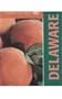 Delaware (Celebrate the States, Set 8)