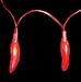Chilli Fairy Lights