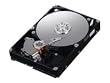 Samsung - SpinPoint HD103UJ F1 Series - 1 TB - 32 MB - SATA