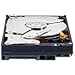 Western Digital 2 TB Caviar Black SATA 7200 RPM 64 MB Cache Bulk/OEM Desktop Hard Drive WD2001FASS-Sports Cheap Deals