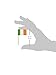 Irish Flag Picks (50/Pkg)