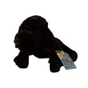 Webkinz Black Lab with Trading Cards